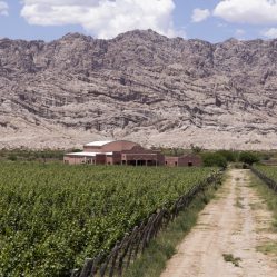 Finca Bodega El Cese