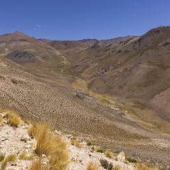 Paisagens de altitude