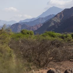 Espetáculo da natureza