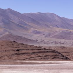 Altiplano argentino