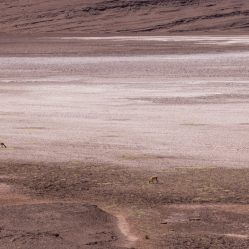 Um deserto sem fim