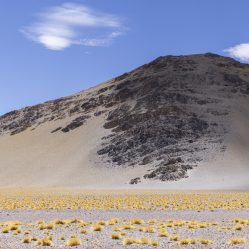 Paisagem surreal