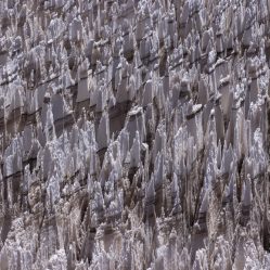 Chamadas Penitentes