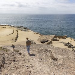 Explorando a costa