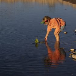 Com gravetos e folhas coletados na praça