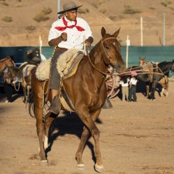 Cavaleiros trajados