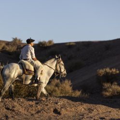 ...e cavalos
