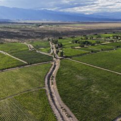 Explora o Vale de Uco