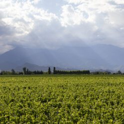 Assistimos a um lindo pôr do sol por entre as nuvens