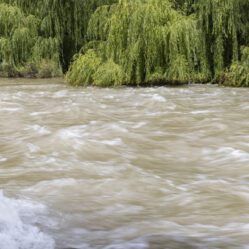 Propício para rafting
