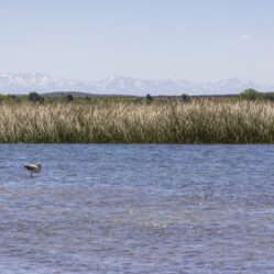 Andes nevados ao fundo