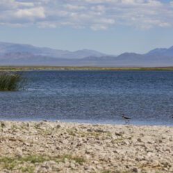 Região da Payunia ao longe