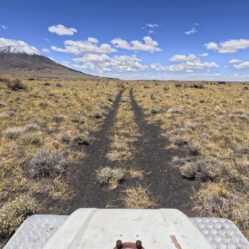 Depois do parque continuamos assim