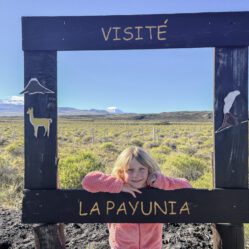 Parque Provincial La Payunia