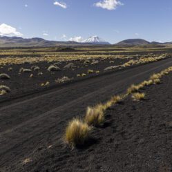 Nosso progresso foi lento