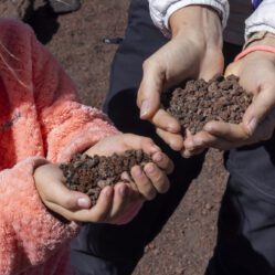 Cinzas ou mini bombas