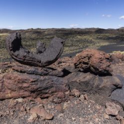 Um jardim de esculturas...