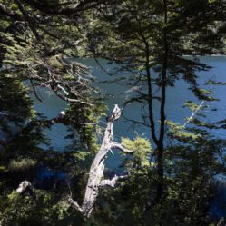 Lagos escondidos no meio da mata