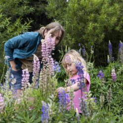 Explorando o entorno