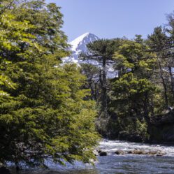 Natureza sempre encantando