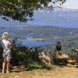 Serena filmando um gavião