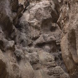 Entramos nesse braço