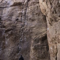 Roy subiu com segurança do Eleandro