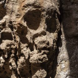 Devido a essa caveira