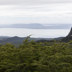 Vista do lago Villarrica