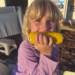 Milho cozido delicioso