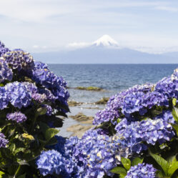 De frente para o lago Llanquihue
