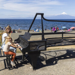 Sedia muitos festivais musicais