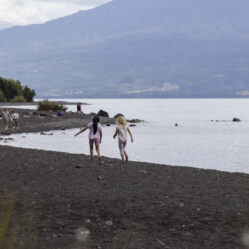 Serena fazendo amizade