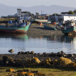 Vila pesqueira