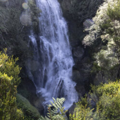 Cascada Alta